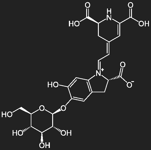 structure of betanin