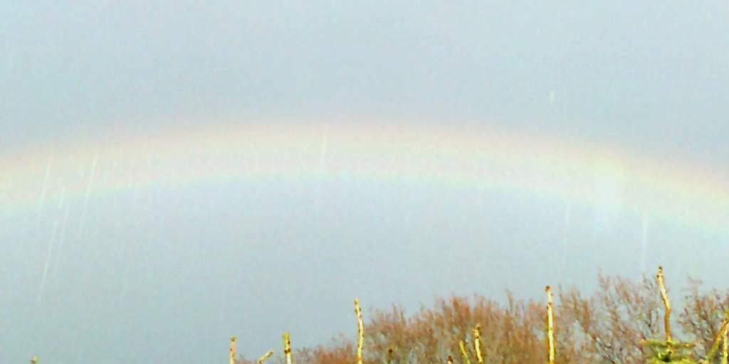 split rainbow